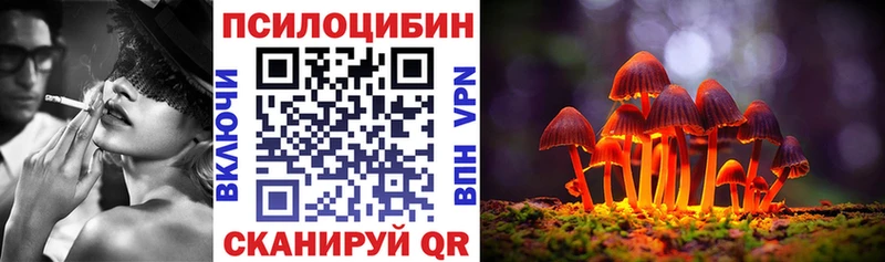 Псилоцибиновые грибы Cubensis Зарайск